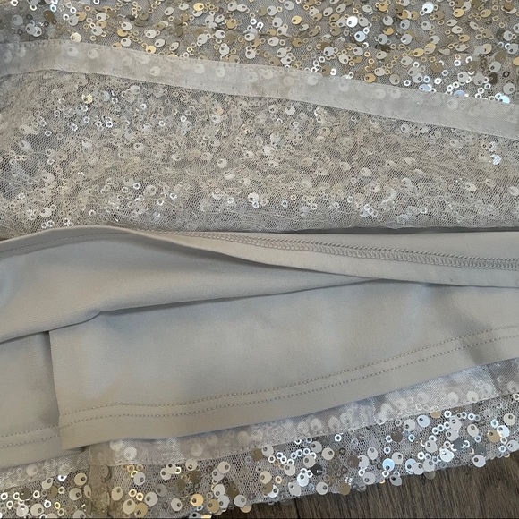 WHBM Silver Sparkle Shift Sequin Dress - Picture 8 of 9